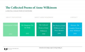 The wireframed splash page for the Wilkinson Collected Poems
